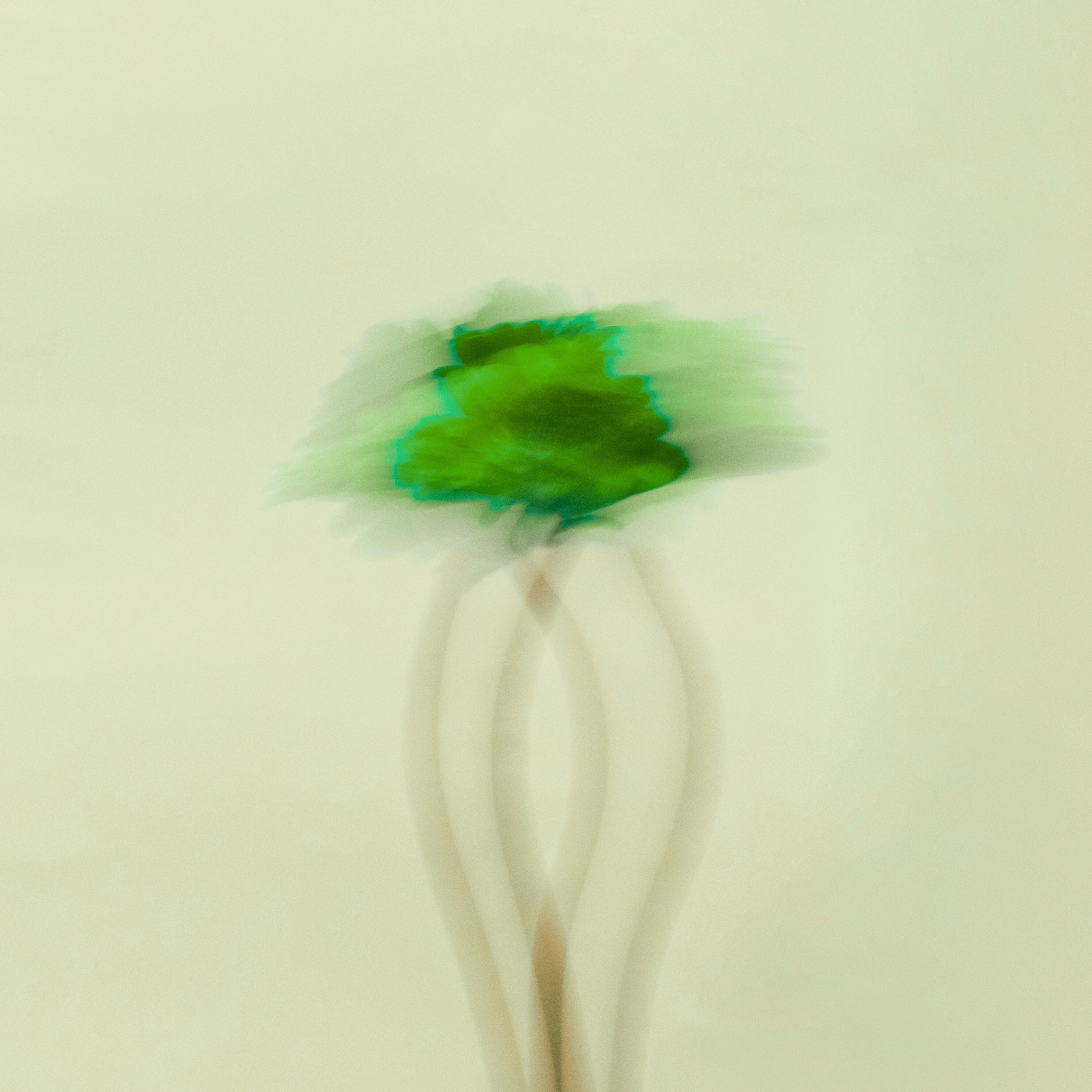 Magnesium & Vitamin B6 Gummies