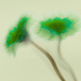 Magnesium & Vitamin B6 Gummies